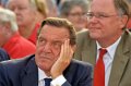 Wahl_2013   111